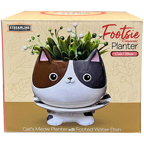 Cat's Meow Footsie Planter with Plate