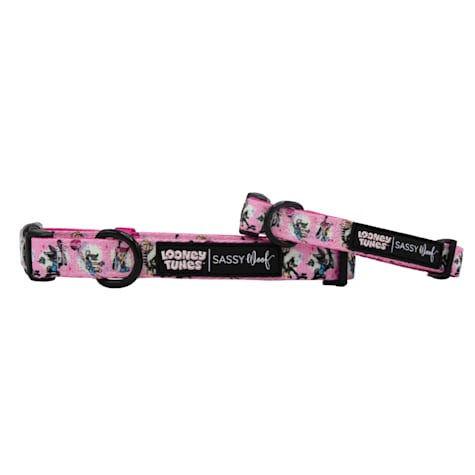 Sassy Woof Looney Tunes Pink Dog Collar