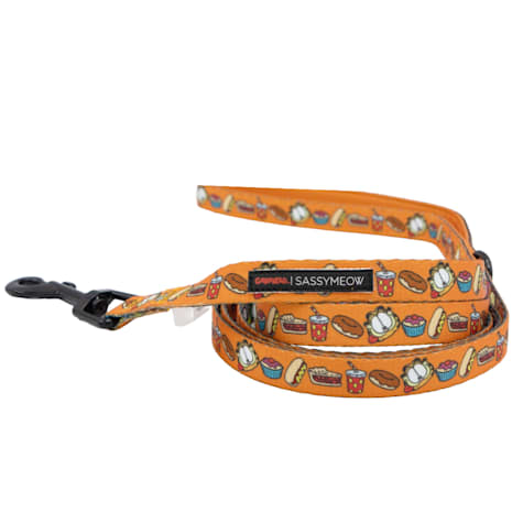 Sassy Meow Garfield Cat Leash