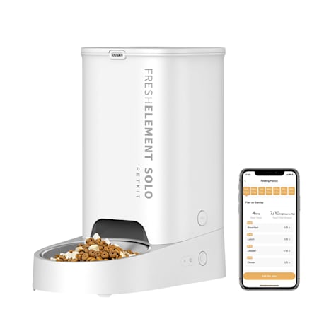 PetKit Fresh Element Solo Automatic Feeder for Dogs