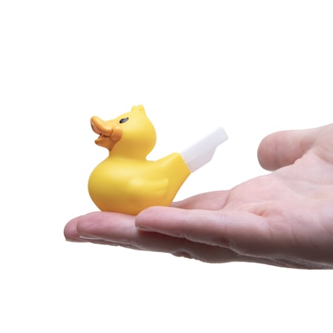 Schylling Mini Duck Quack Whistle