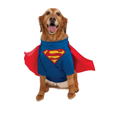 RUBIES Superman Pet Dog Costume