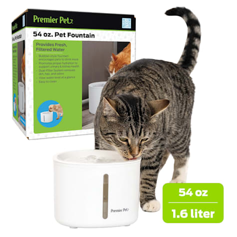 Premier Pet Fountain for Dogs