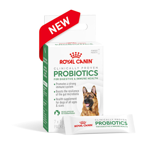 Royal Canin Probiotics Digestive and Immune Health Powder Supplement for Adult Dogs