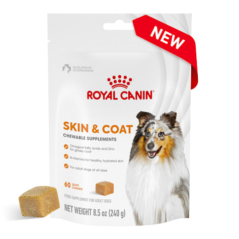 Royal Canin Skin & Coat Supplement Soft Chews for Adult Dogs