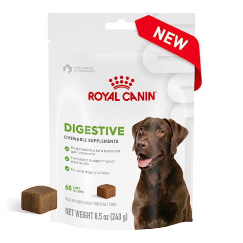 Royal Canin Digestive Supplement Soft Chews for Adult Dogs