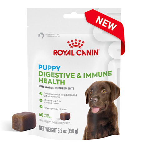 Royal Canin Immunity & Digestion Chew Pouch Supplement for Puppy