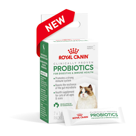 Royal Canin Probiotics Digestive and Immune Health Powder Supplement for Adult Cats