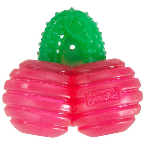 Outward Hound Gummiez Cherries 2-in-1 Dental Dog Chew Toy and Dog Treat Stuffer Game Cherry Scent for Dogs