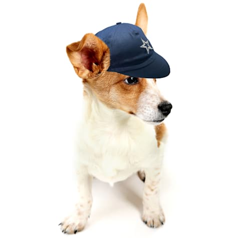 Pets First NFL Pet Cap