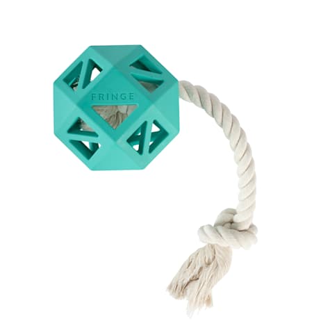 PetShop by Fringe Studio Turquoise Pull My Way Rubber Dog Toy
