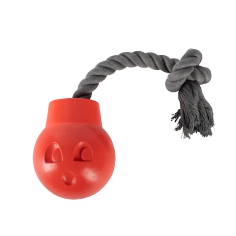 PetShop by Fringe Studio You Da Bomb Rubber Dog Toy