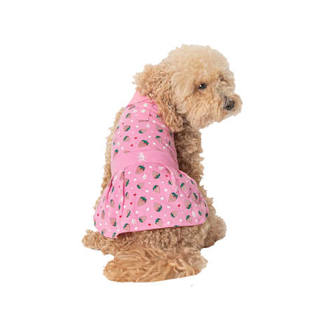 Original Penguin Pink Strawberry Print Polo Dress for Dogs