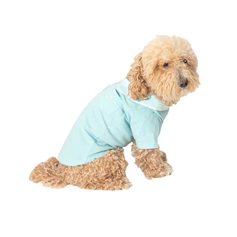 Original Penguin Aqua Pique Polo for Dogs