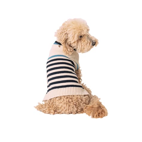 Original Penguin Ivory Stripped Turtleneck Sweater for Dogs