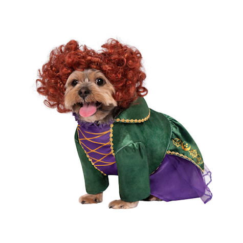 RUBIES Hocus Pocus Winifred Sanderson Pet Costume