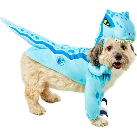 RUBIES Jurassic World Blue Velociraptor Pet Costume