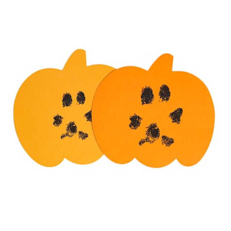 Pearhead Pet Pumpkin Diy Clean-Touch Ink Pad Kit