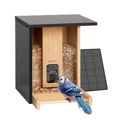 Birdfy Black Bamboo Smart Bird Feeder with Camera Solar Powered Motion Detection