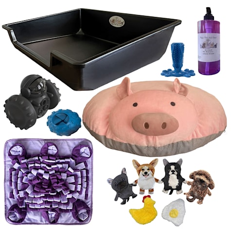 Piggy Poo and Crew Pet Starter Kit Litter Box