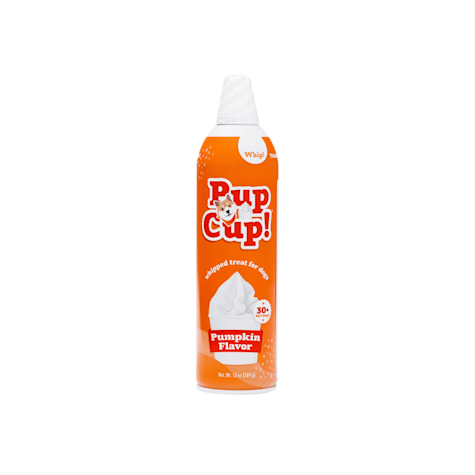 Pup Cup! Pumpkin Whipped Cream Dog Treat
