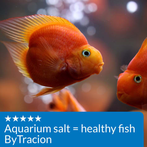 petco aquarium salt