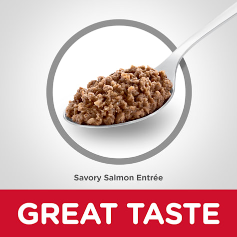 petco science diet kitten