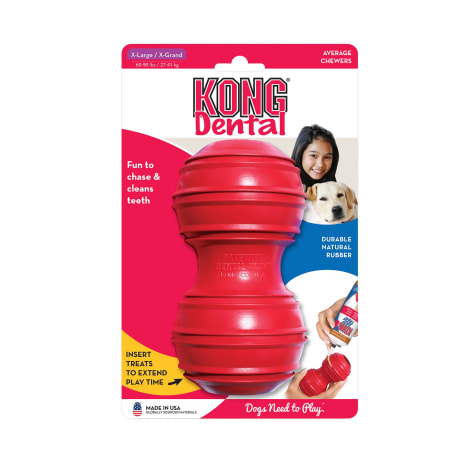 dental kong for dogs
