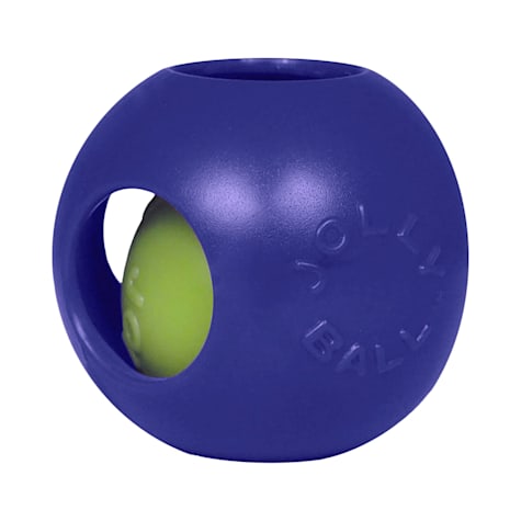Jolly Pet Teaser Ball for Medium Dogs