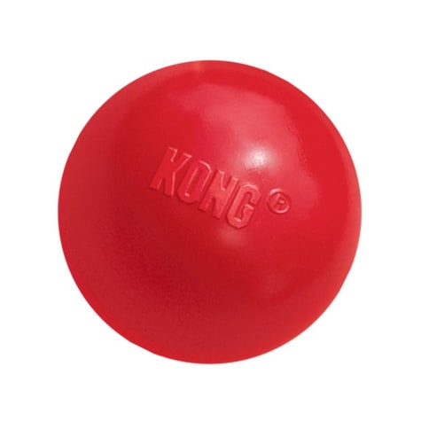 kong dog ball