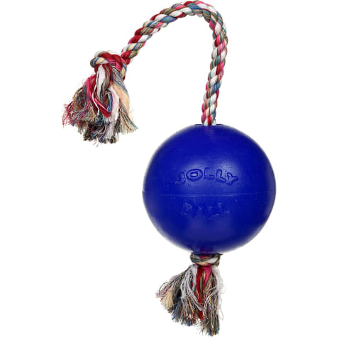 jolly ball dog toy