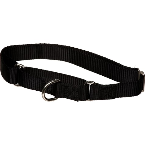 The Grrrip X-tra Control Collar in Black