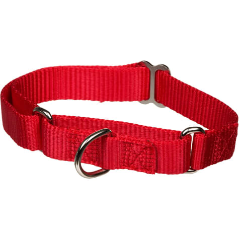The Grrrip X-tra Control Collar in Red
