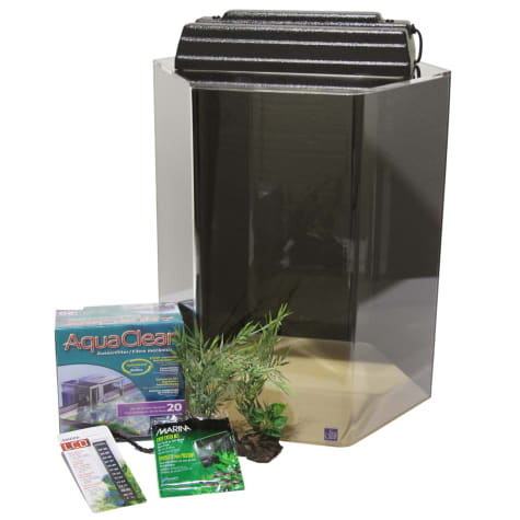 petco hexagon fish tank