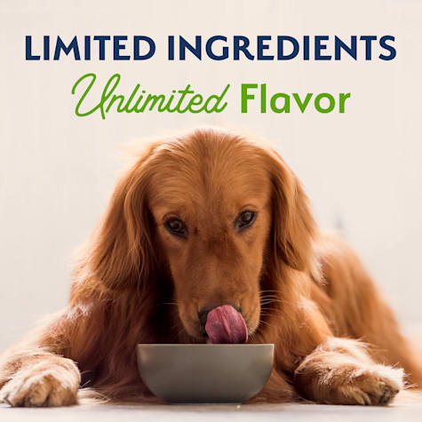 new balance dog food