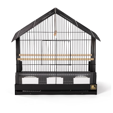 small parrot cage