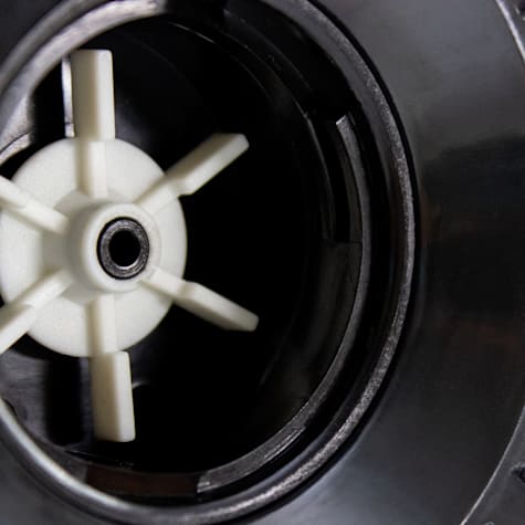 maltipoo 6 weeks old