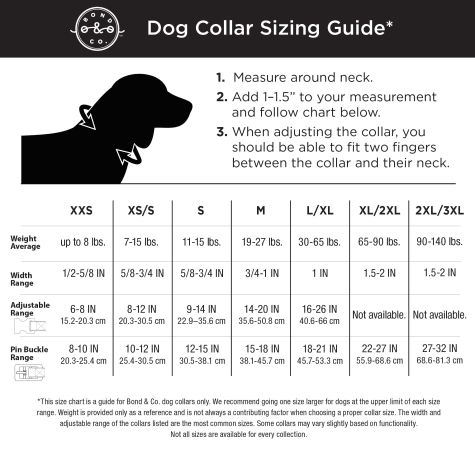 tie the dog