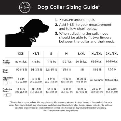 medium dog collar size in cm