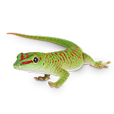 Pet and reptile clearance shop