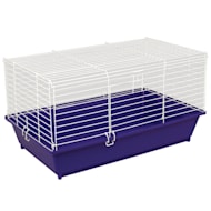 Guinea Pig Supplies Accessories Free Shipping Petco
