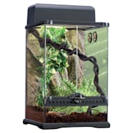 Crested gecko kit clearance large