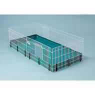 Petco guinea 2024 pig supplies