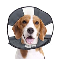 Pro cone shop dog collar