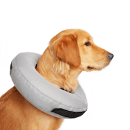 Petco soft dog cone cheap