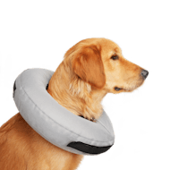 Zen Pet ZenCone Soft Recovery Collar for Dogs, Large