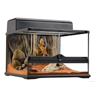 Bearded dragon starter kit petco best sale