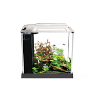 Fish Supplies Aquarium Supplies Accessories Petco