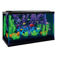 Tetra Complete LED Aquarium Kit 10GL, 10 Gallon (20x10x12) 