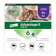 BRAVECTO® PLUS for Cats